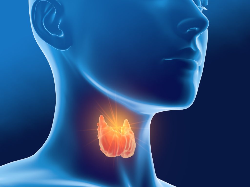 Thyroid and Fertility